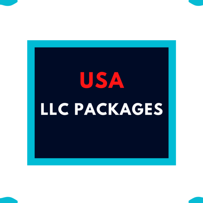 USA LLC Packages - Litmus Business Solution